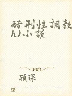 酷刑性调教(高h)小说封面