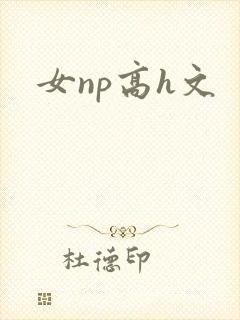 女np高h文