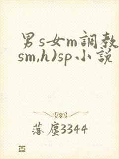 男s女m调教(sm,h)sp小说