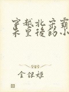 穿越北宋霸占了朱皇后的小说