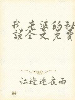 我老婆的秘密小说全文免费阅读