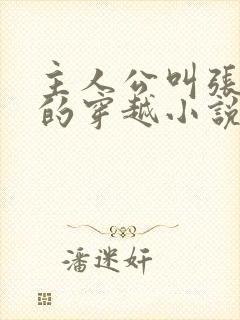 主人公叫张小凡的穿越小说