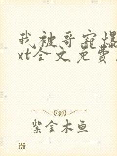 我被哥宠爆了txt全文免费阅读笔趣阁封面