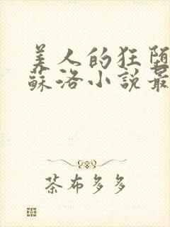 美人的狂堕遭遇苏洛小说最新章节更新