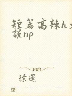 短篇高辣h文小说np