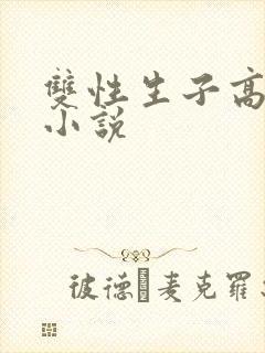 双性生子高h的小说