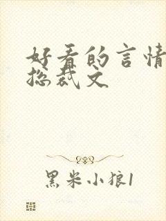 好看的言情小说总裁文