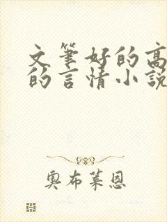 文笔好的高质量的言情小说推荐