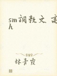 sm调教文 高h封面