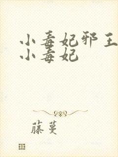 小毒妃邪王夜宠小毒妃