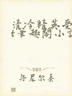 清冷精英受txt笔趣阁小说