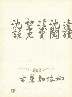 沈望溪沈清若小说免费阅读最新章节