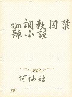 sm调教囚禁高辣小说封面