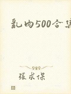 乱肉500合集