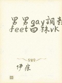 男男gay调教feet白袜vk