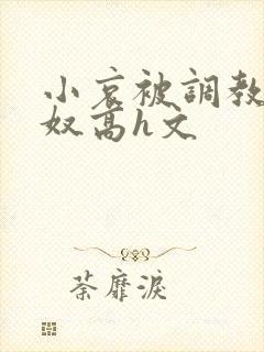 小哀被调教成肉奴高h文