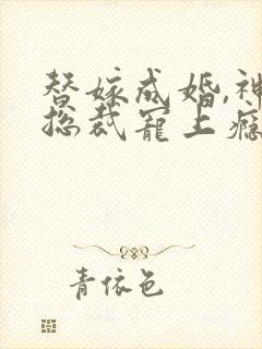 替嫁成婚,神秘总裁宠上瘾封面