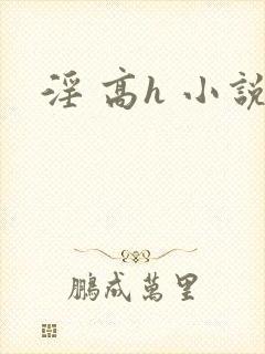 淫 高h 小说