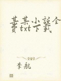 某某小说全文免费txt下载封面