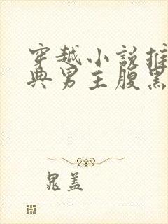 穿越小说推荐经典男主腹黑