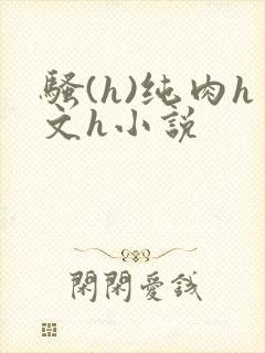 骚(h)纯肉h文h小说