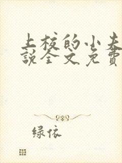 上校的小夫人小说全文免费阅读封面