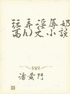 玩弄淫辱奶头(高h)文小说封面