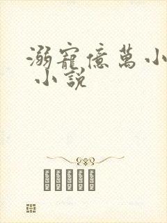 溺宠亿万小萌妻 小说