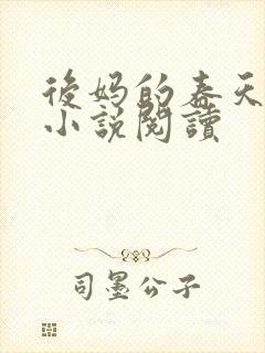 后妈的春天小成小说阅读封面