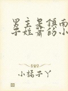 男主是镇南王世子姓萧的小说