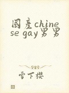 国产chinese gay男男