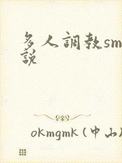多人调教sm小说