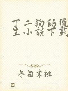 丁二狗的猎艳人生小说下载