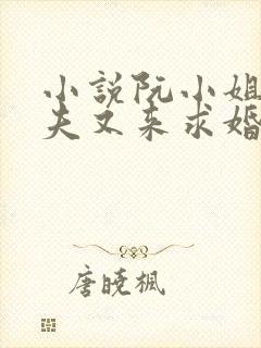 小说阮小姐的前夫又来求婚了