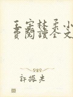 王宇林柔小说免费阅读全文最新章节