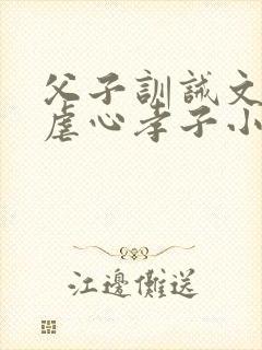 父子训诫文误会虐心孝子小说封面