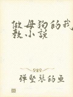 做母狗的我被调教小说封面