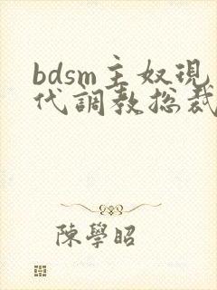 bdsm主奴现代调教总裁文封面