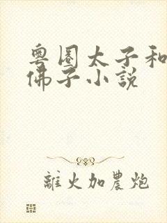 粤圈太子和京圈佛子小说