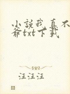 小说我真不是法爷txt下载封面