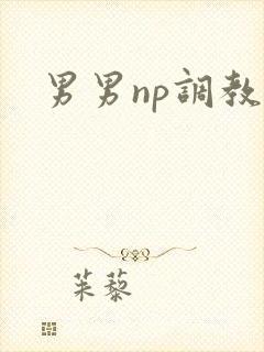男男np调教文