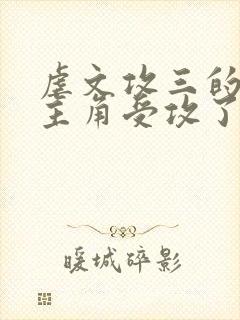 虐文攻三的我被主角受攻了