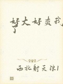 好大好爽我高潮了