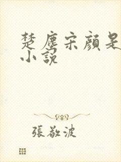 楚尘宋颜是哪本小说