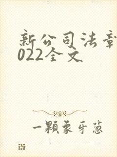 新公司法章程2022全文