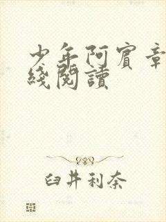 少年阿宾章节在线阅读