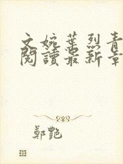 文婉叶烈青免费阅读最新章节封面