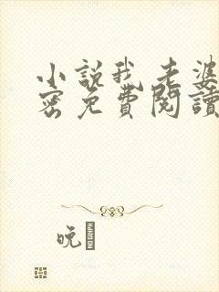 小说我老婆的秘密免费阅读