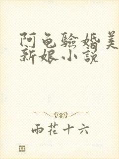 阿龟验婚美丽的新娘小说封面