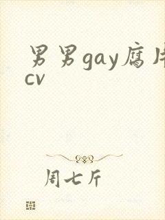 男男gay腐片cv